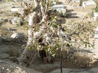 Eritrea weather forecast