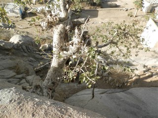 Eritrea weather forecast