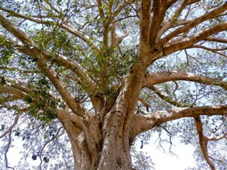 Eritrea weather forecast