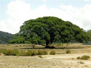 Eritrea weather forecast