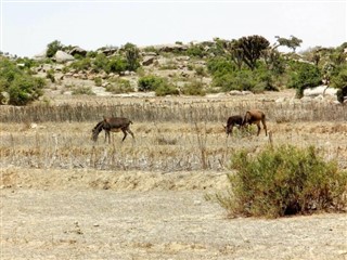 Eritrea weather forecast