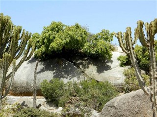 Eritrea weather forecast