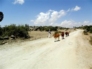 Eritrea weather forecast