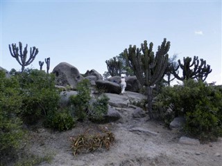 Eritrea pronóstico del tiempo