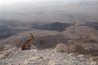 Eritrea weather forecast