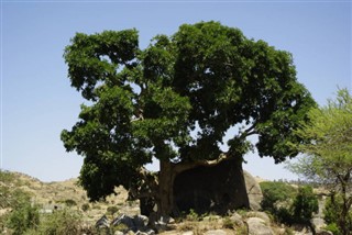 Eritrea weather forecast