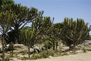 Eritrea weather forecast