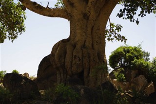 Eritrea weather forecast