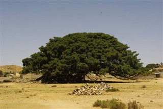 Eritrea weather forecast