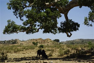 Eritreja vremenska prognoza