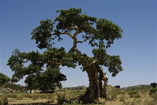 Eritrea weather forecast