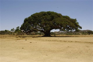 Eritrea weather forecast