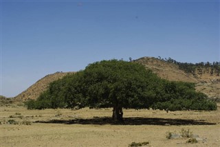 Eritrea weather forecast