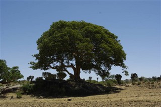 Eritreja vremenska prognoza