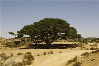 Eritrea weather forecast