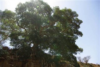 Eritrea weather forecast