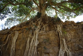 Eritrea weather forecast