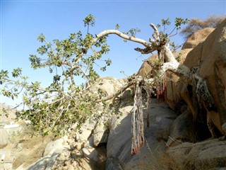 Eritrea weather forecast