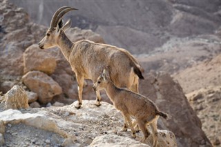 Eritrea weather forecast