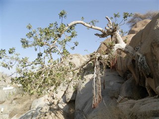 Eritrea weather forecast