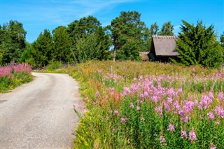 Estonia weather forecast