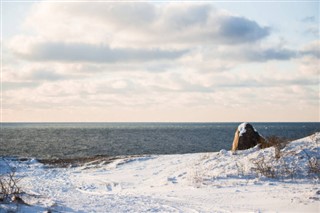 Estonia weather forecast