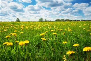 Estonia weather forecast