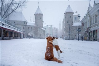 Estonia weather forecast