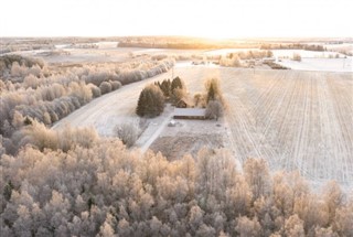 Estonia weather forecast