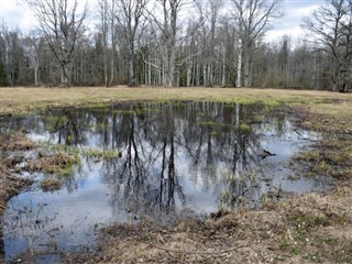 Estonia prognoza pogody