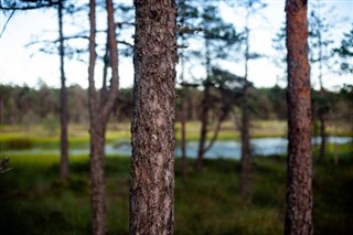 Estonia weather forecast