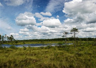 Estonia weather forecast