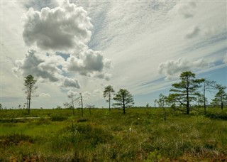 Estonia prognoza pogody