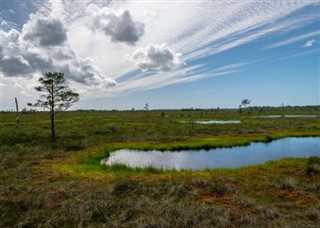 Estonia weather forecast