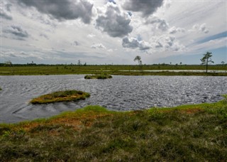 Estonia weather forecast