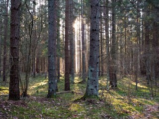 Estonia weather forecast