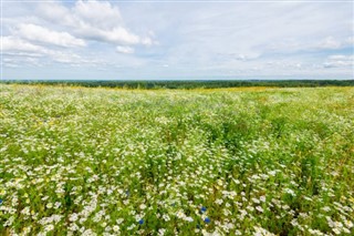 Estonija vremenska prognoza