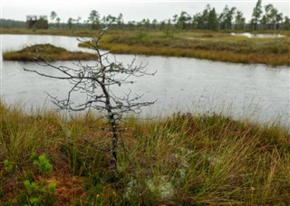 Estonija vremenska prognoza