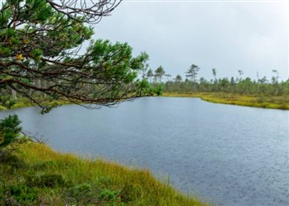 Estonia prognoza pogody