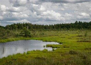 Estonia weather forecast