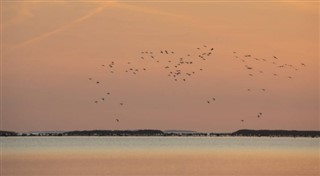 Estonija vremenska prognoza