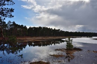 Estonia weather forecast