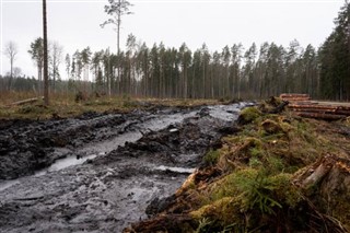 Estonija vremenska prognoza