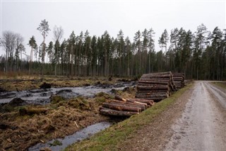 Estonia prognoza pogody