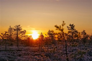 Estonia weather forecast