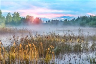 Estonia weather forecast