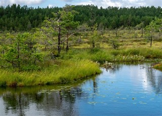 Estonija vremenska prognoza