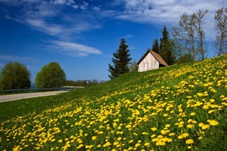 Estonia weather forecast