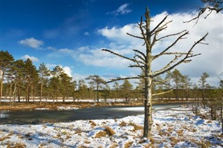 Estonia prognoza pogody