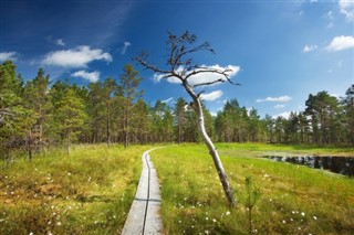 Estonia prognoza pogody